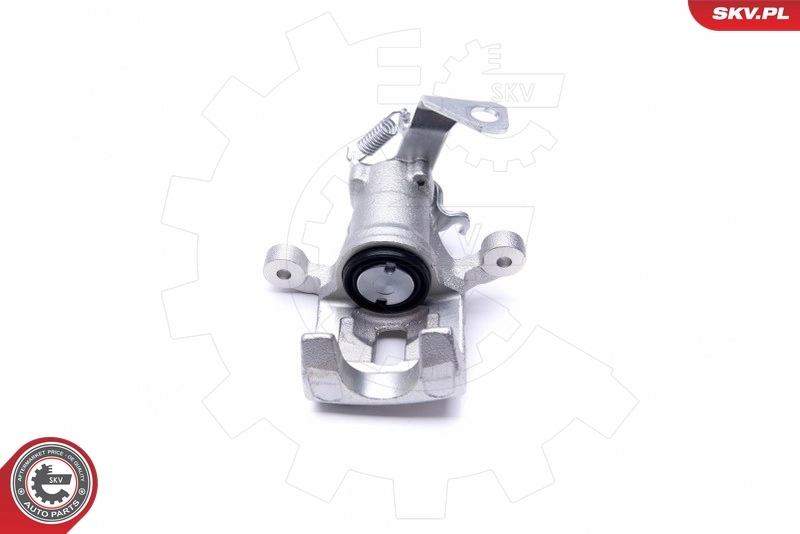 Brake Caliper 46SKV913