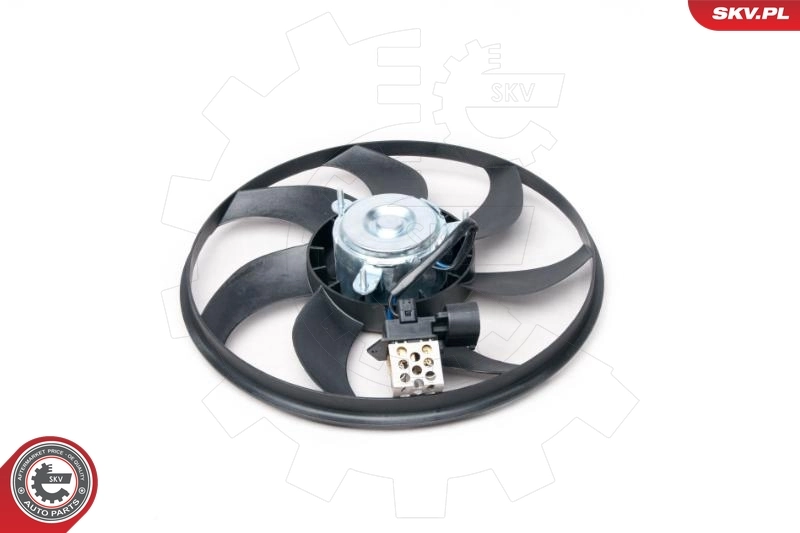 ESEN SKV 96SKV011 Fan, engine cooling