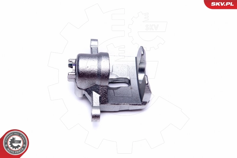 Brake Caliper 42SKV473