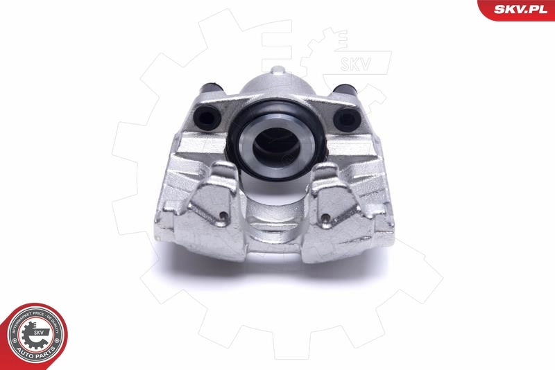 Brake Caliper 55SKV532