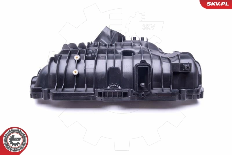 Intake Manifold Module 49SKV030