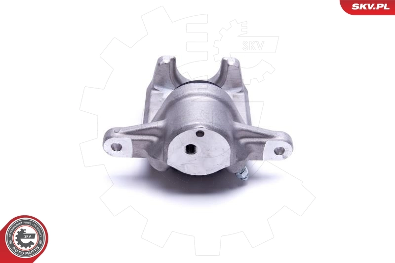 Brake Caliper 55SKV454