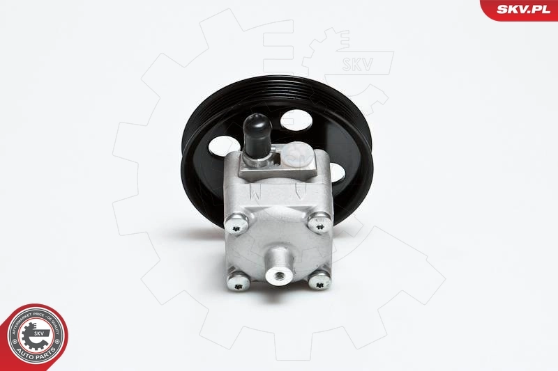 Hydraulic Pump, steering 10SKV028