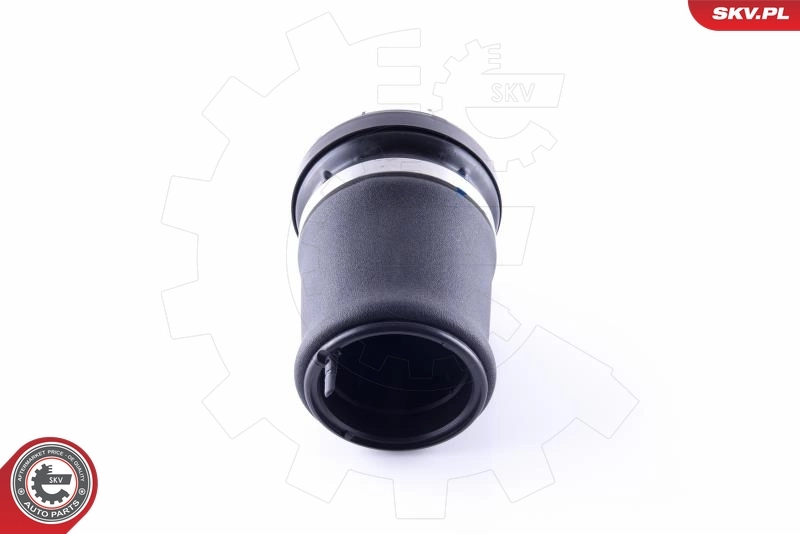 Air Spring, suspension 58SKV052