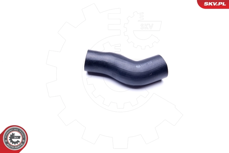 Charge Air Hose 24SKV819