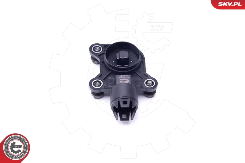 Sensor, camshaft position 17SKV424
