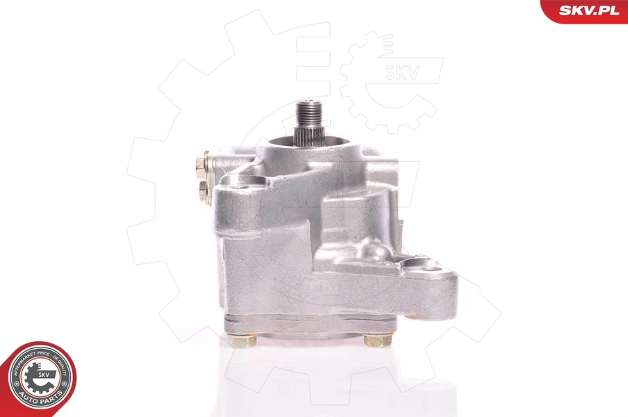 Hydraulic Pump, steering 10SKV026