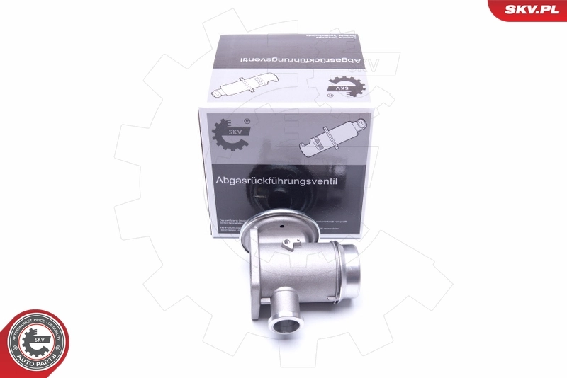 EGR Valve 14SKV176