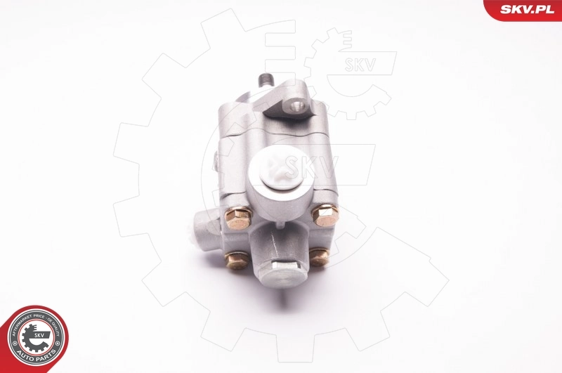 ESEN SKV 1SKV0008 Hydraulic Pump, steering