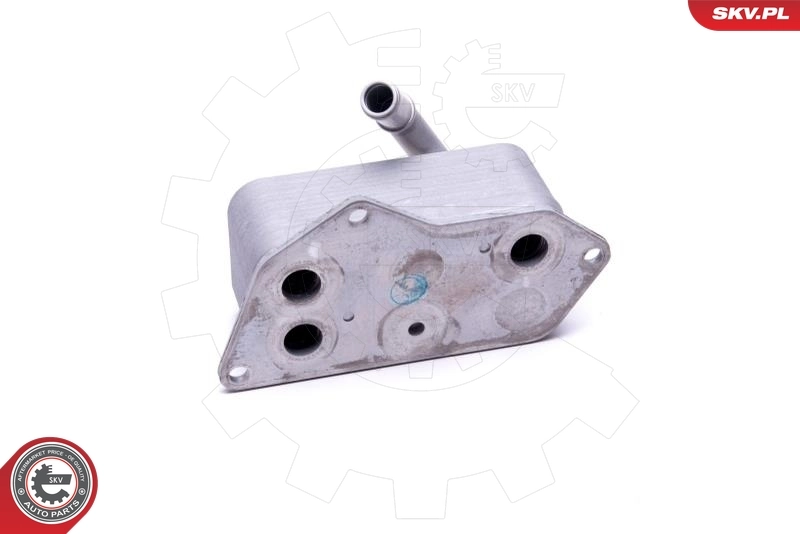 Oil Cooler, engine oil 31SKV224