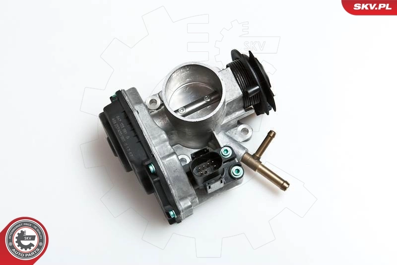 Throttle Body 12SKV033