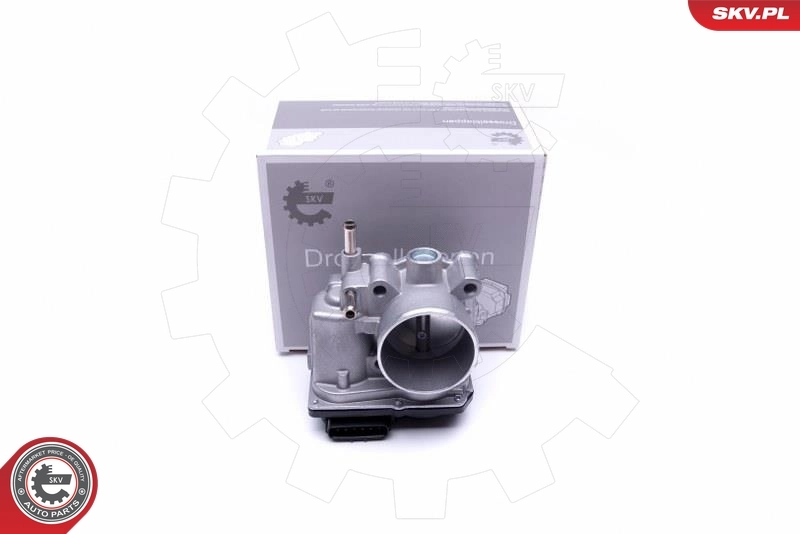 Throttle Body 12SKV089
