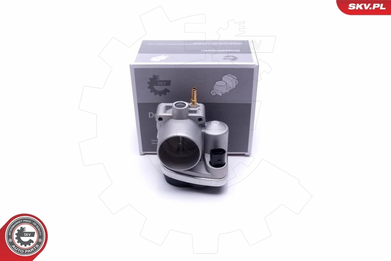 Throttle Body 12SKV103