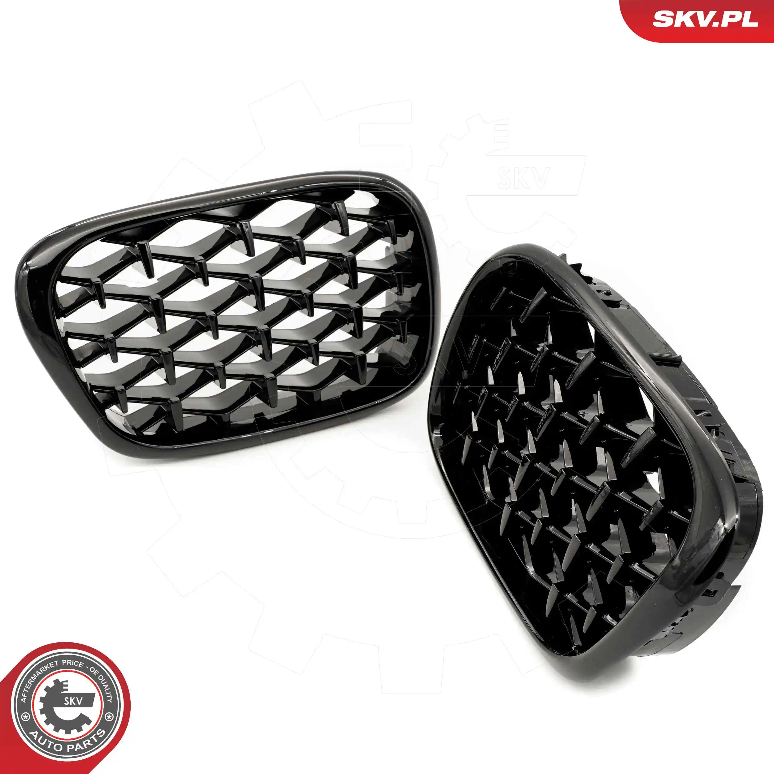 Radiator Grille 66SKV164