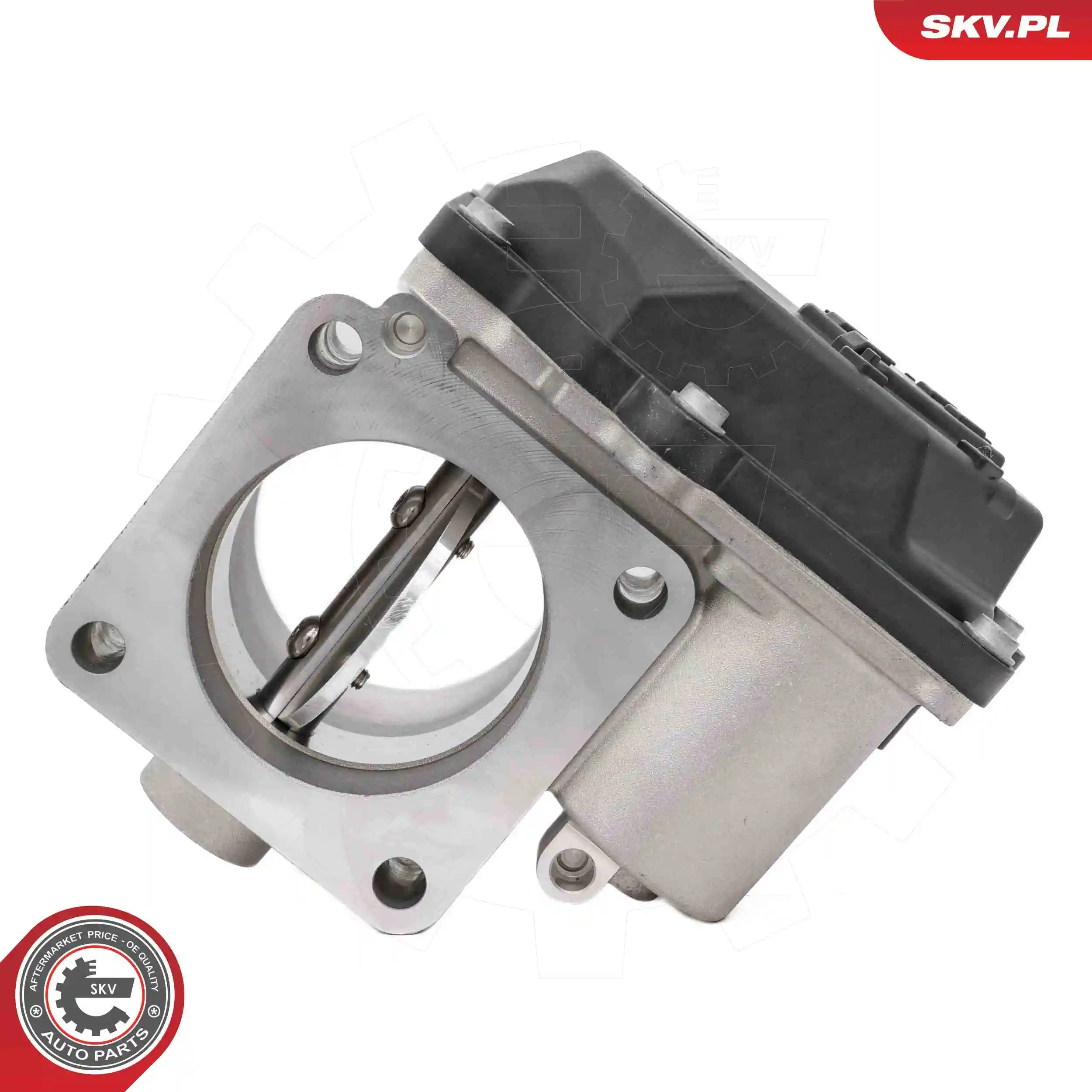 ESEN SKV 12SKV139 Throttle Body