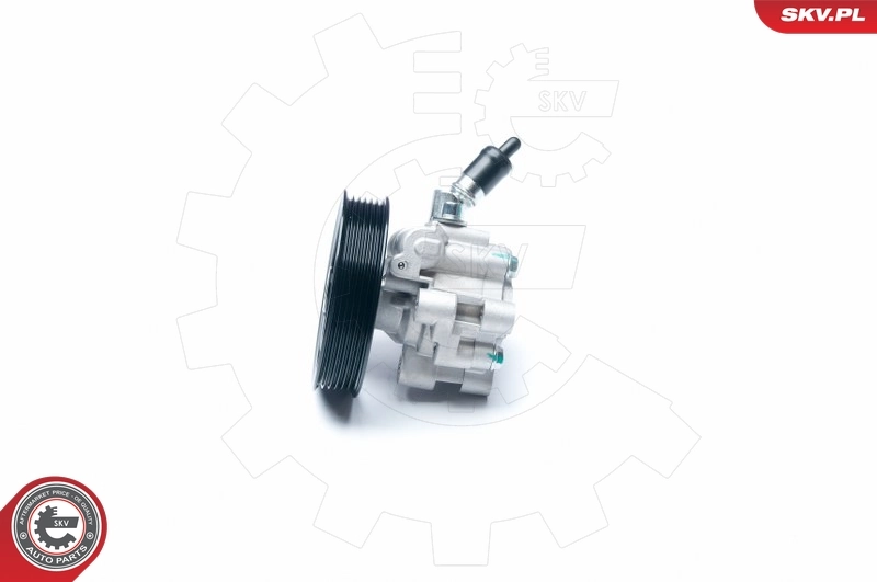 Hydraulic Pump, steering 10SKV195