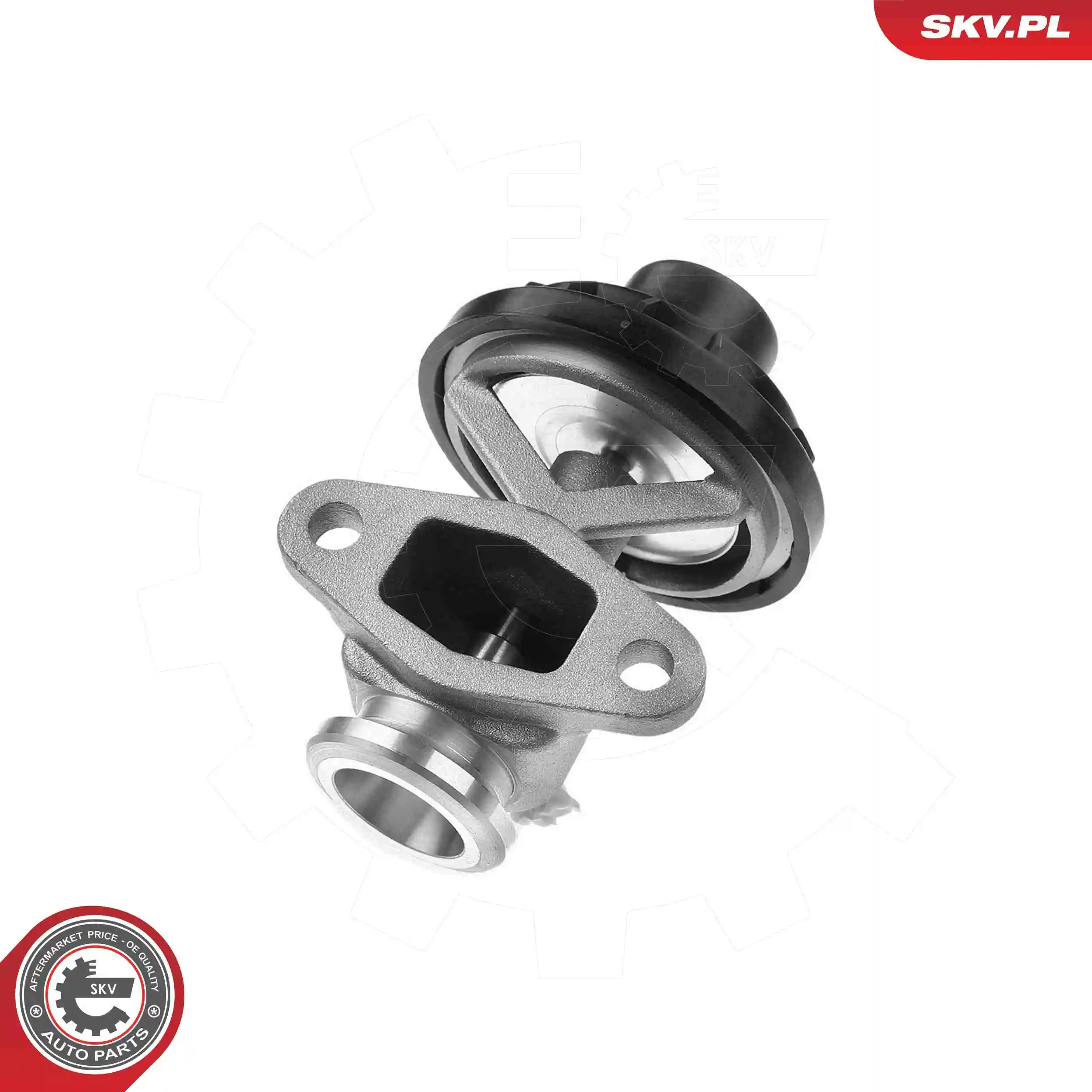 EGR Valve 14SKV291