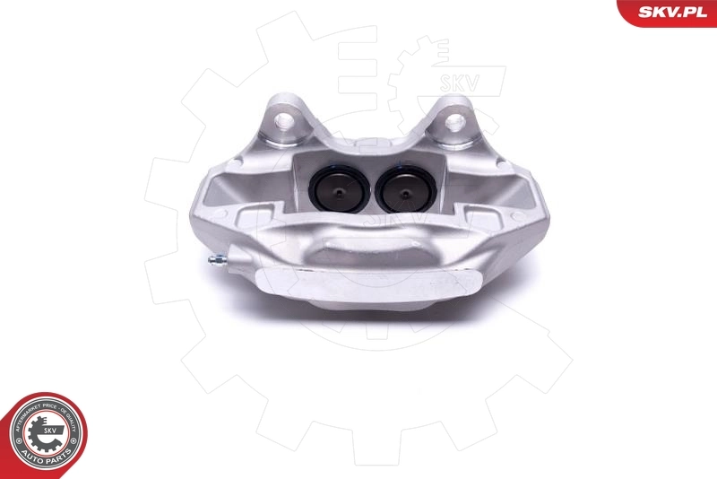 Brake Caliper 42SKV411