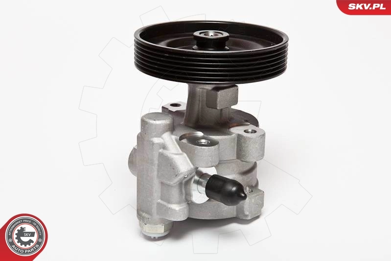 Hydraulic Pump, steering 10SKV068