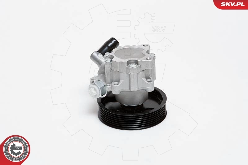 Hydraulic Pump, steering 10SKV024