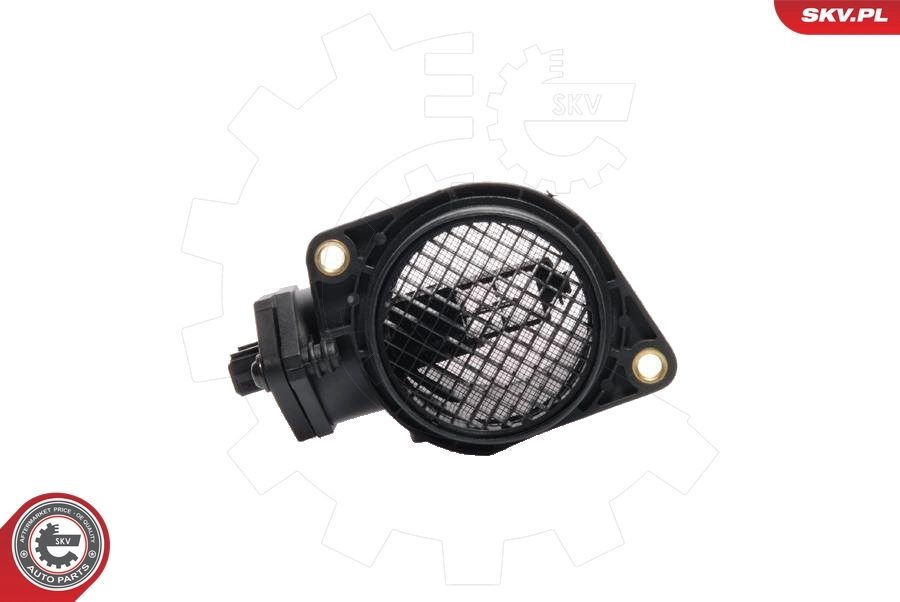 Mass Air Flow Sensor 07SKV011