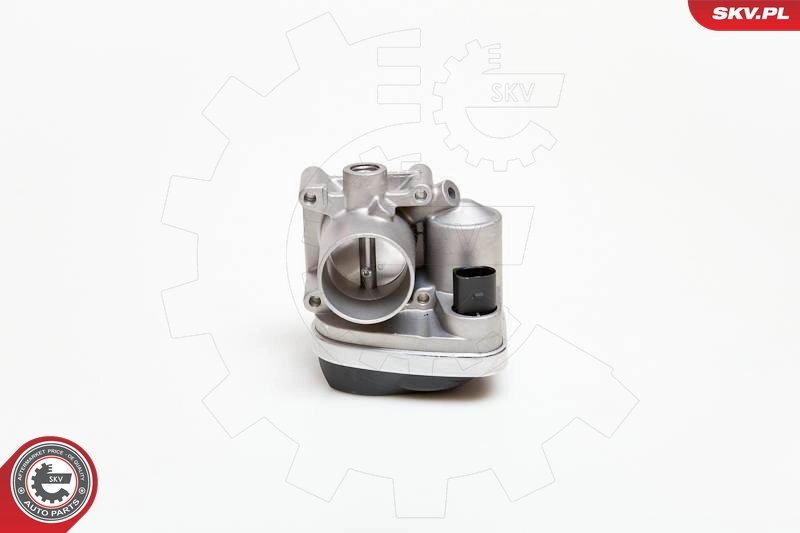 Throttle Body 12SKV030