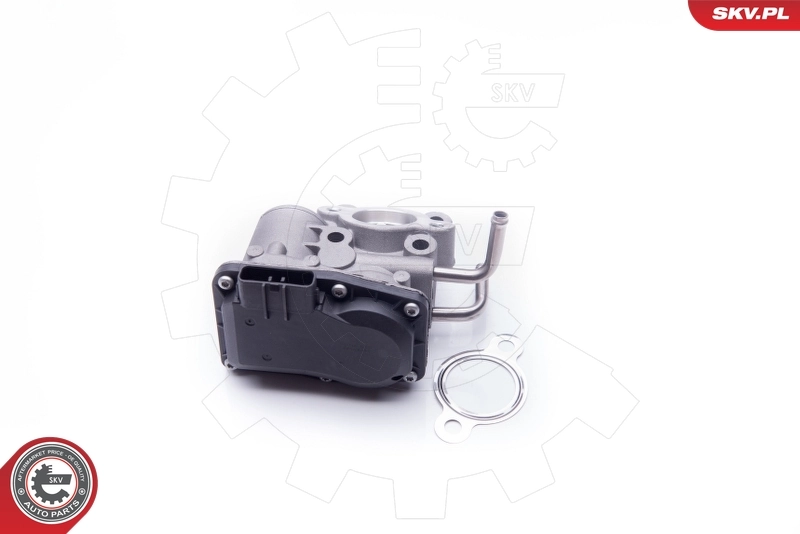 EGR Valve 14SKV189