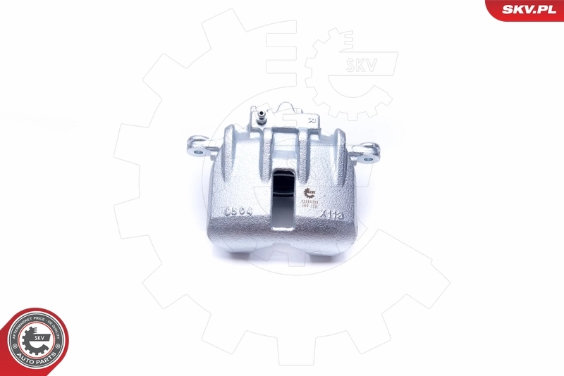 Brake Caliper 42SKV182