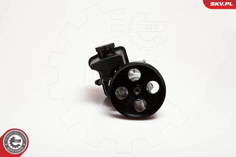 Hydraulic Pump, steering 10SKV029