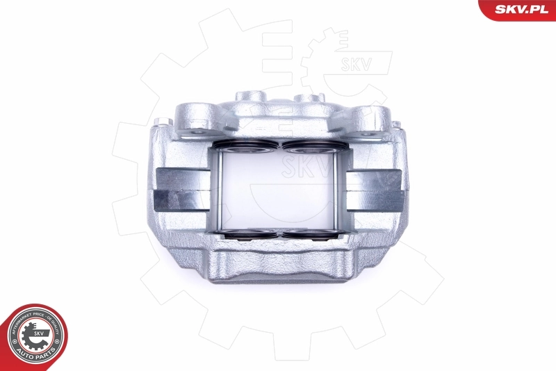 Brake Caliper 50SKV521