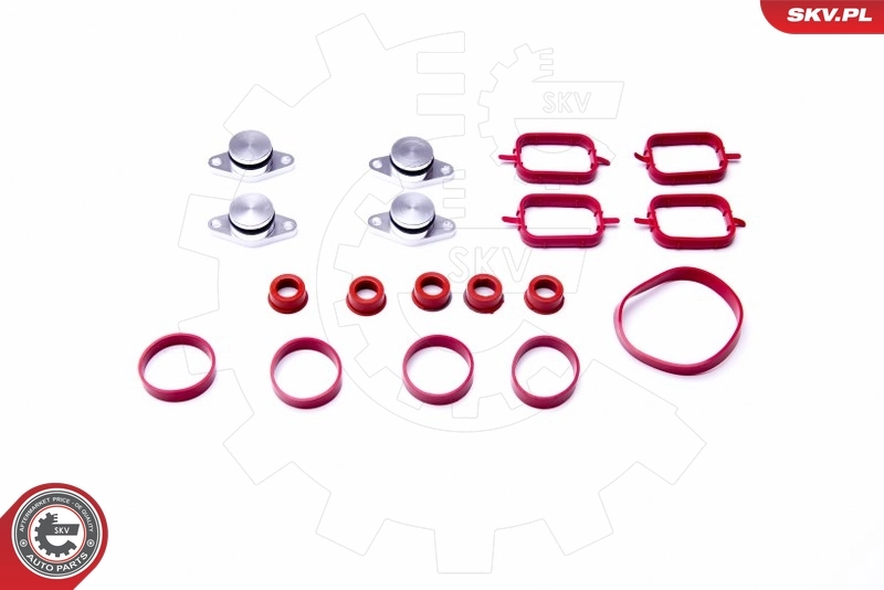 Gasket Set, intake manifold 96SKV054
