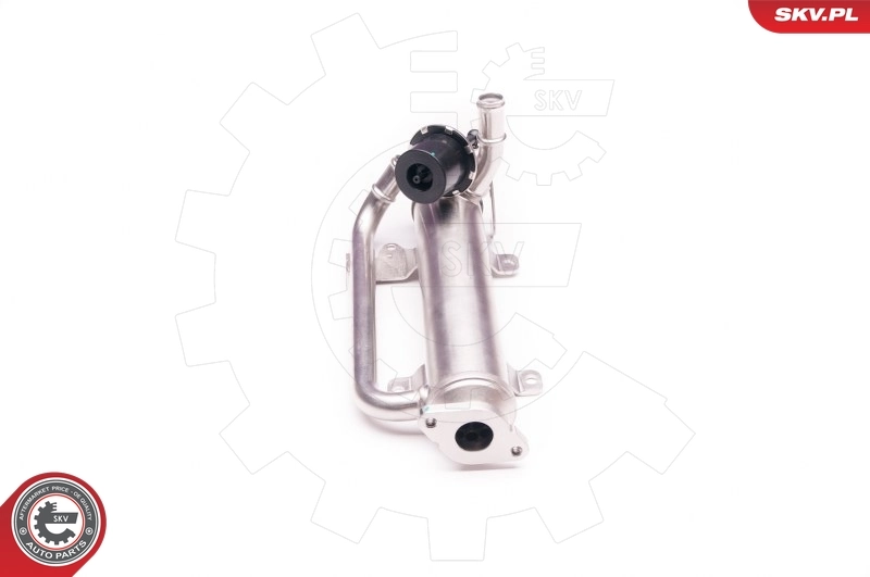EGR Valve 14SKV126