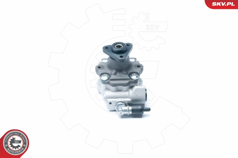 Hydraulic Pump, steering 10SKV186