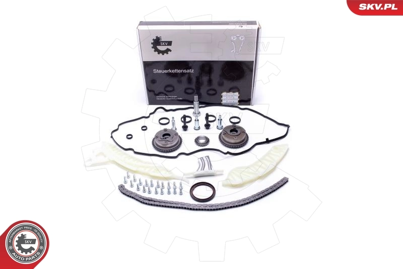 Timing Chain Kit 21SKV117