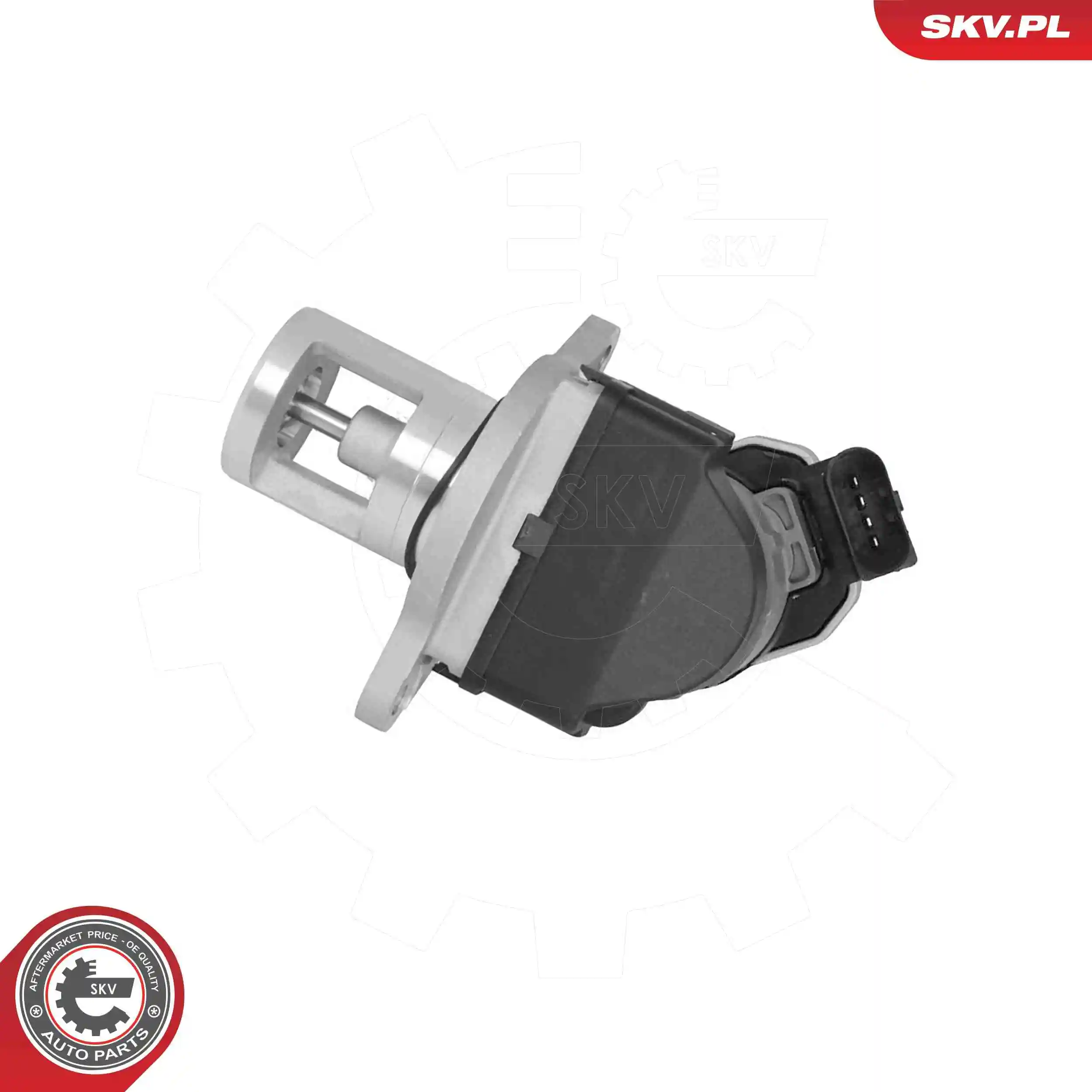 EGR Valve 14SKV309