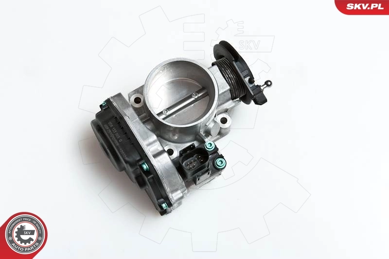 Throttle Body 12SKV023