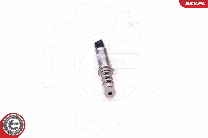 Control Valve, camshaft adjustment 39SKV010