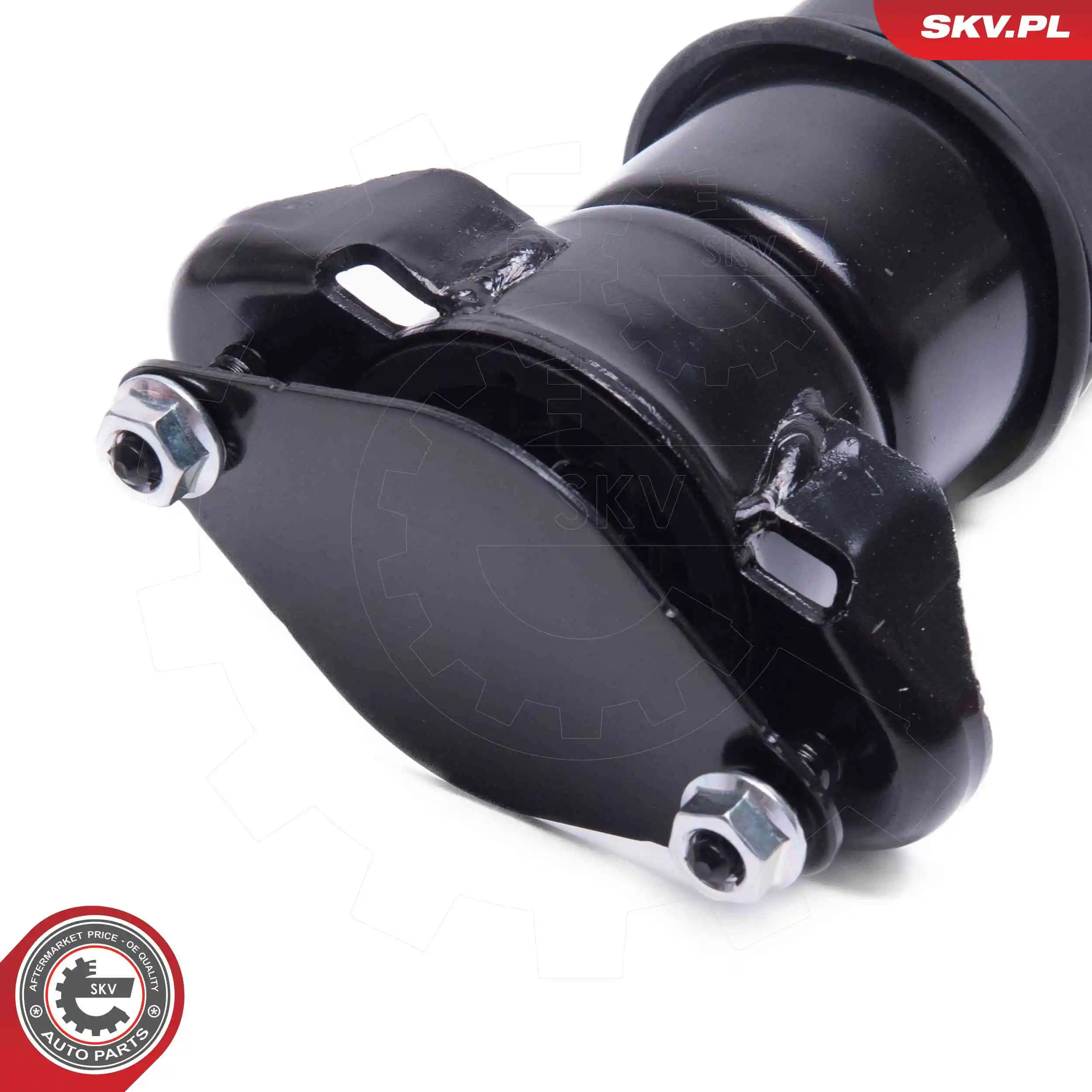 Air Suspension Strut 58SKV715