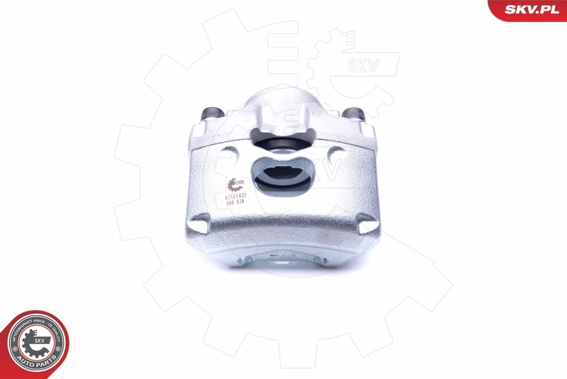 Brake Caliper 42SKV822