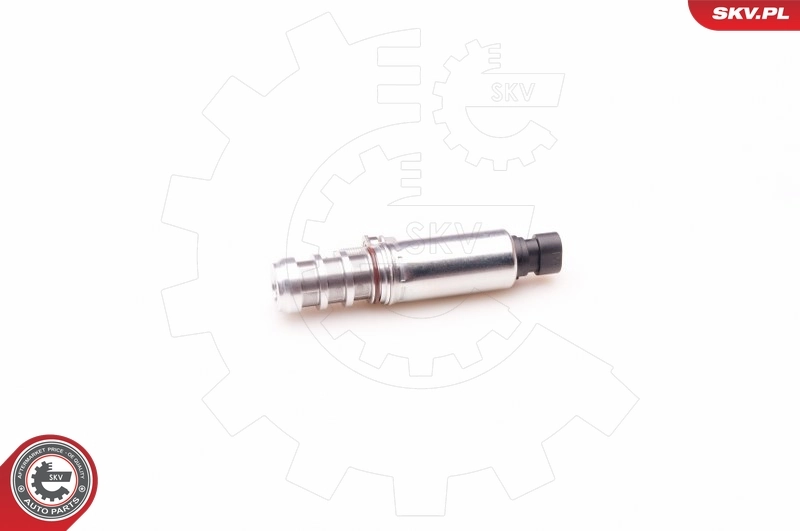 Control Valve, camshaft adjustment 39SKV002