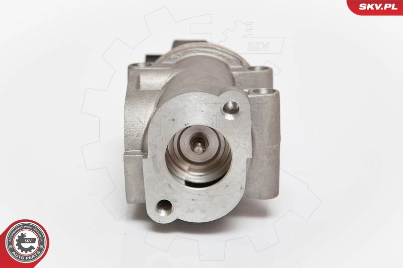 EGR Valve 14SKV055