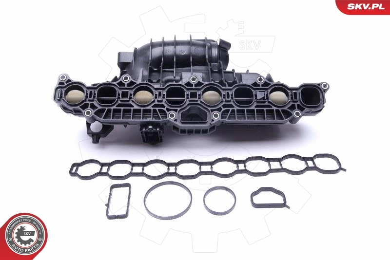Intake Manifold Module 49SKV030