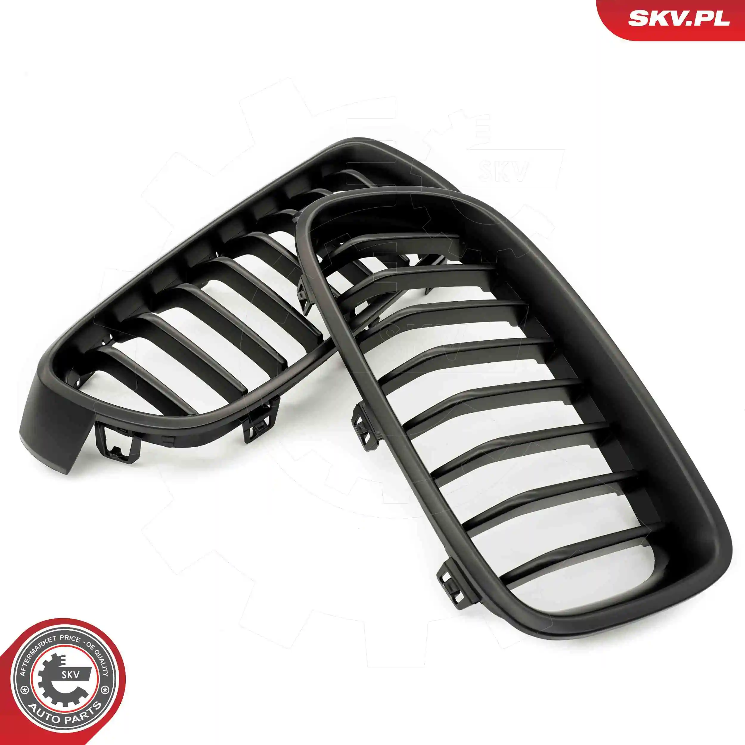 Radiator Grille 66SKV121