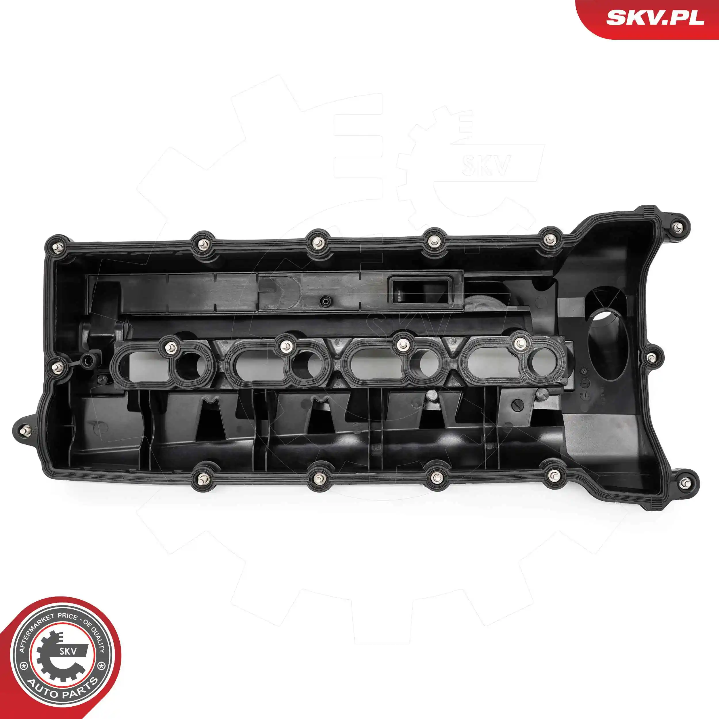 Cylinder Head Cover 48SKV110