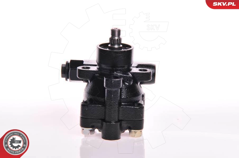 Hydraulic Pump, steering 10SKV078