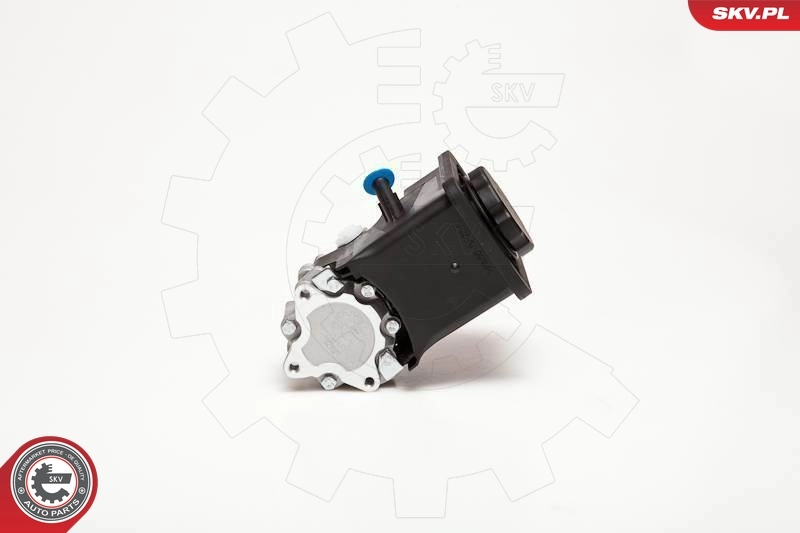 Hydraulic Pump, steering 10SKV012