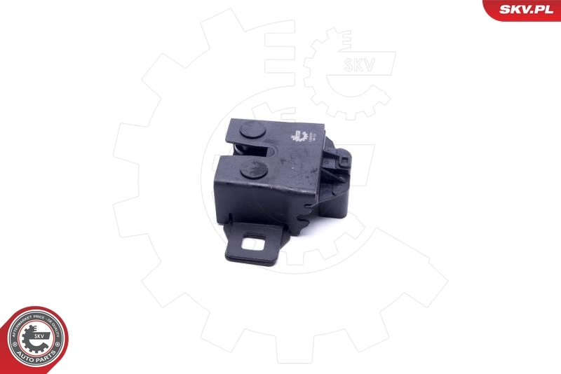 Bonnet Lock 16SKV391