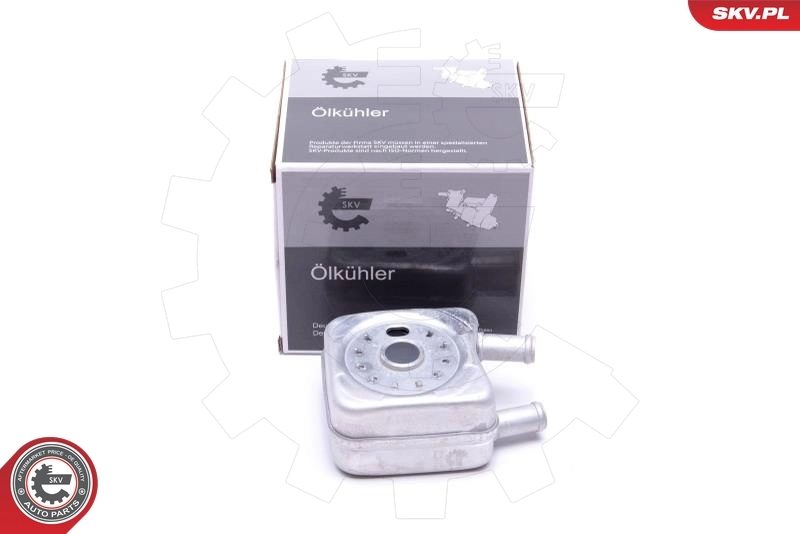 Oil Cooler, engine oil 31SKV202
