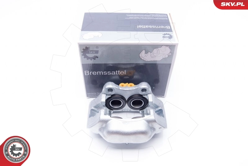 Brake Caliper 42SKV001