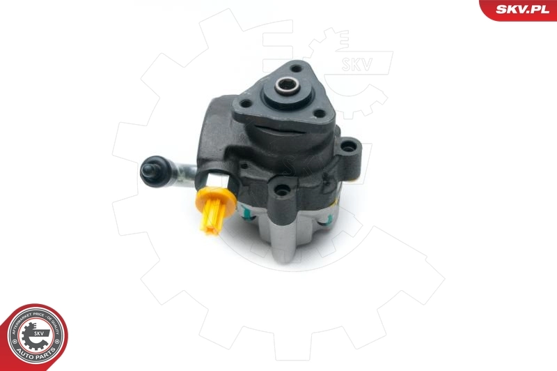 Hydraulic Pump, steering 10SKV191